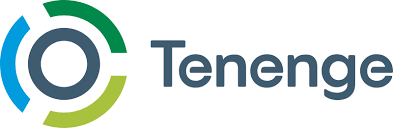 Tenenge
